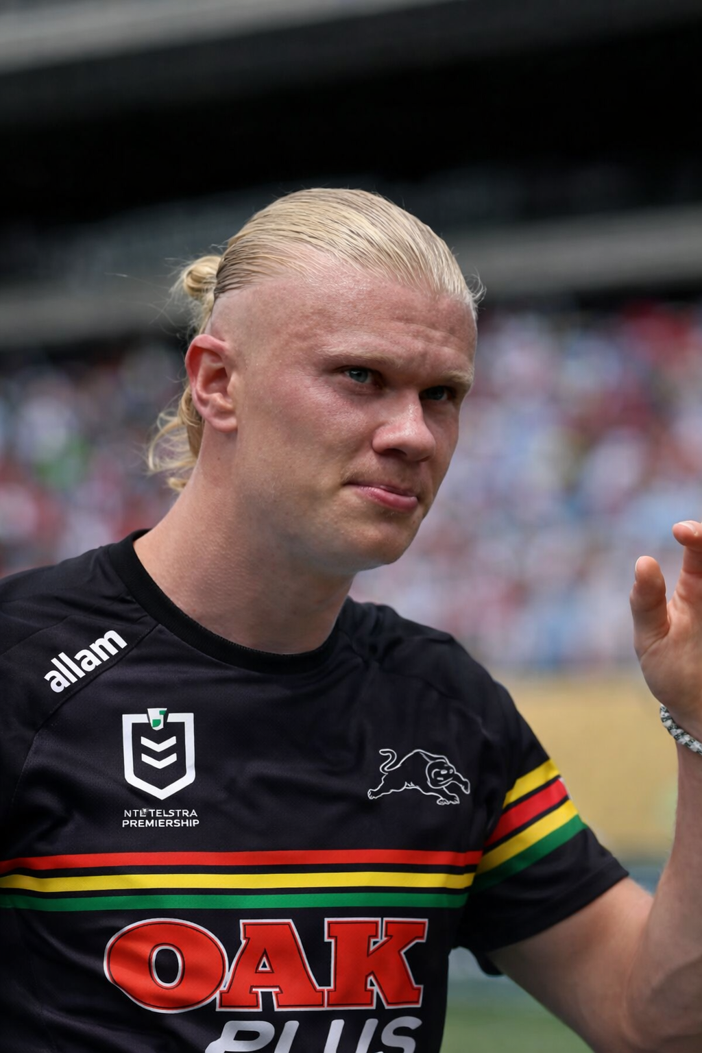 file_00000000641c71fd9403c811a9890e11