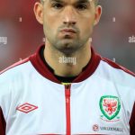 boaz-myhill-wales-goalkeeper-2BAYYE2