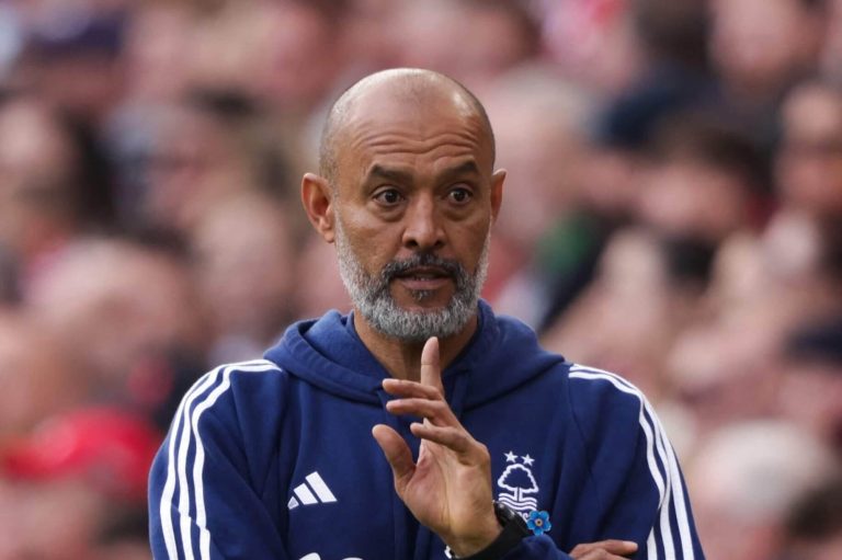 nuno-forest-scaled-e1729252215227